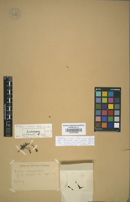 LE 01014302