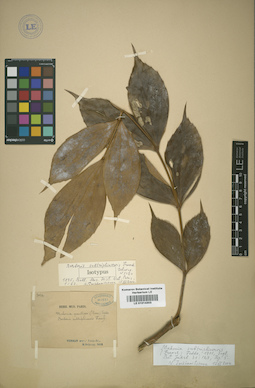 LE 01014303