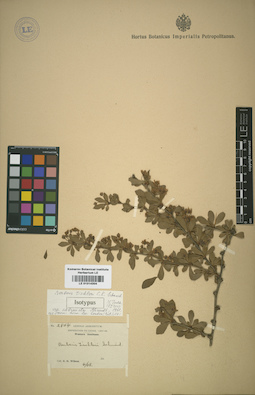 LE 01014304