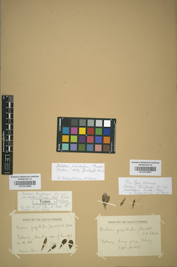 LE 01014307