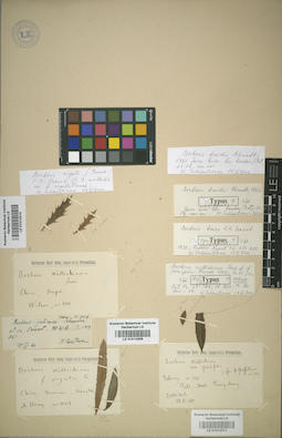 LE 01014311