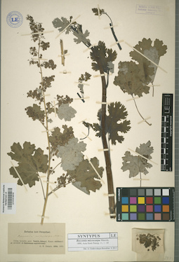 LE 01014318