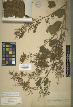 LE 01014319
