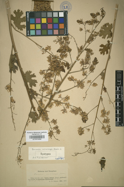 LE 01014320