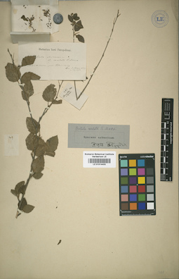 LE 01014433