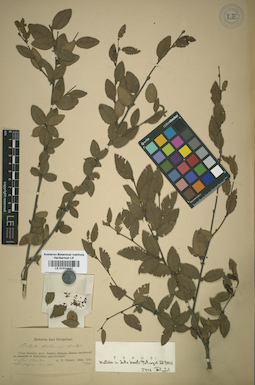 LE 01014447