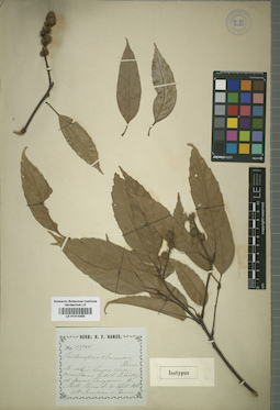 LE 01014455