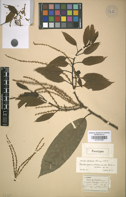 LE 01014457