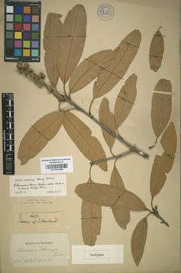 LE 01014458