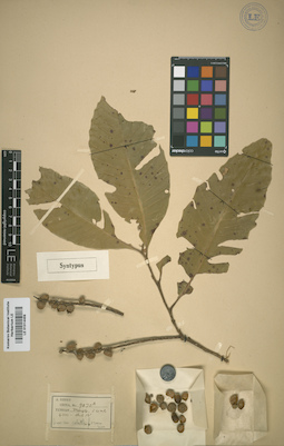 LE 01014459
