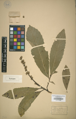 LE 01014460