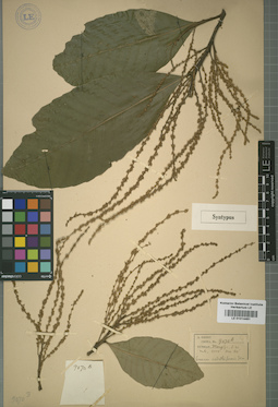 LE 01014461