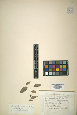 LE 01014462