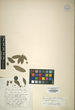 LE 01014463