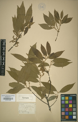 LE 01014465