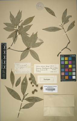 LE 01014466