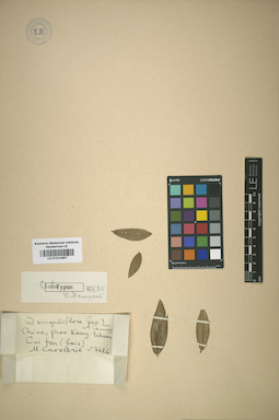 LE 01014467