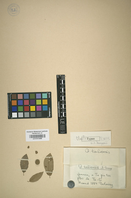 LE 01014468