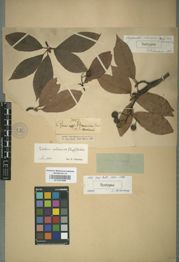 LE 01014469