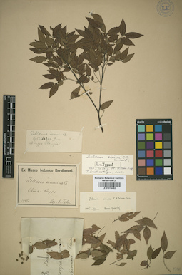 LE 01014482