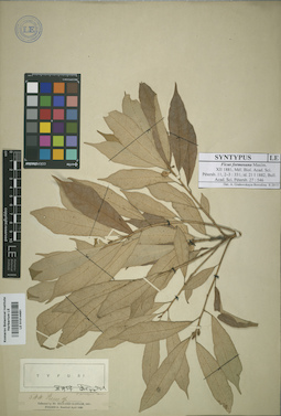 LE 01014491