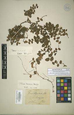 LE 01014494