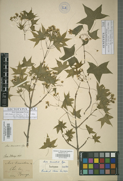 LE 01014522
