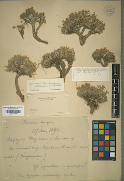 LE 01014659