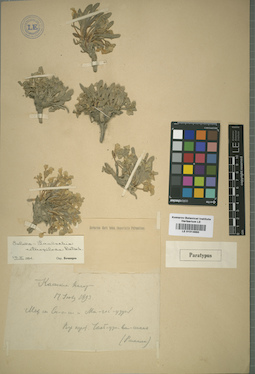 LE 01014660