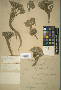 LE 01014661