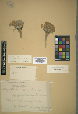 LE 01014662