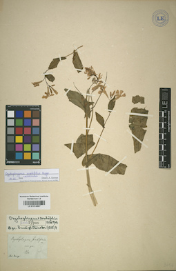 LE 01014667