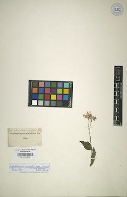 LE 01014670
