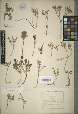 LE 01014688