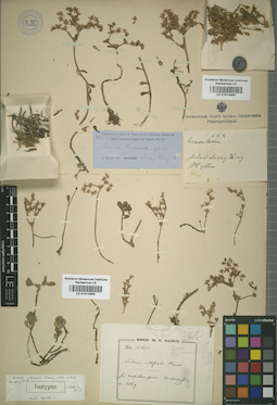 LE 01014689