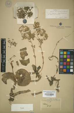 LE 01014706