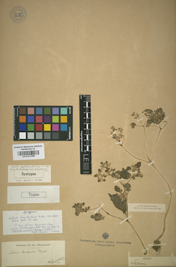 LE 01014708