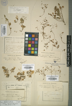 LE 01014716