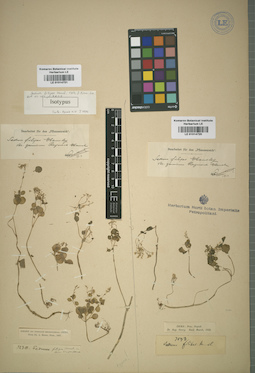 LE 01014721