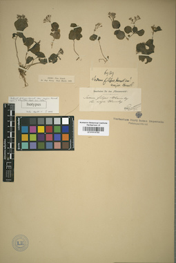 LE 01014722