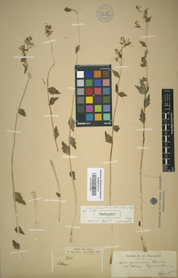 LE 01014723