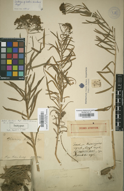 LE 01014731