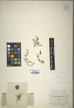 LE 01014748