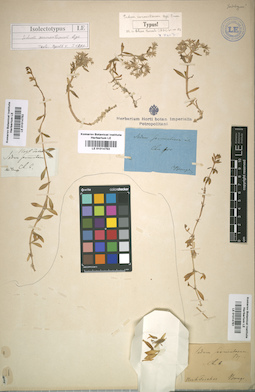 LE 01014753