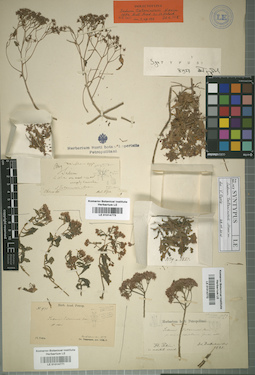 LE 01014771
