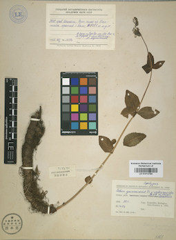 LE 01014780