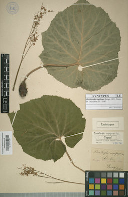 LE 01014791