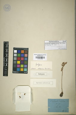 LE 01014792