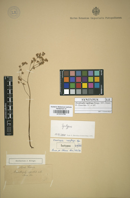 LE 01014793