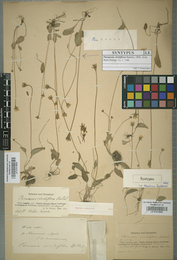 LE 01014855